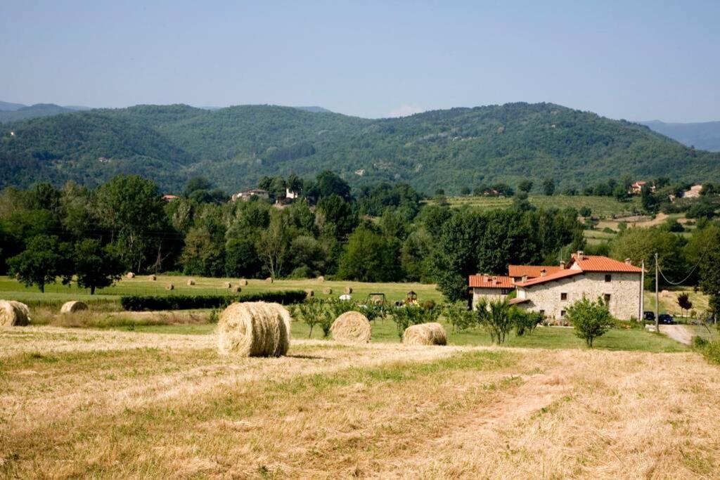 Villino In The Hearth Of Tuscany, Quiet Unforgettable Place. Poppi Dış mekan fotoğraf